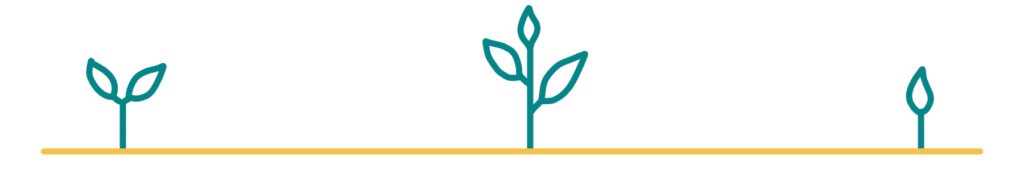 A divider image of tiny seedlings, symbols of hope and growth.